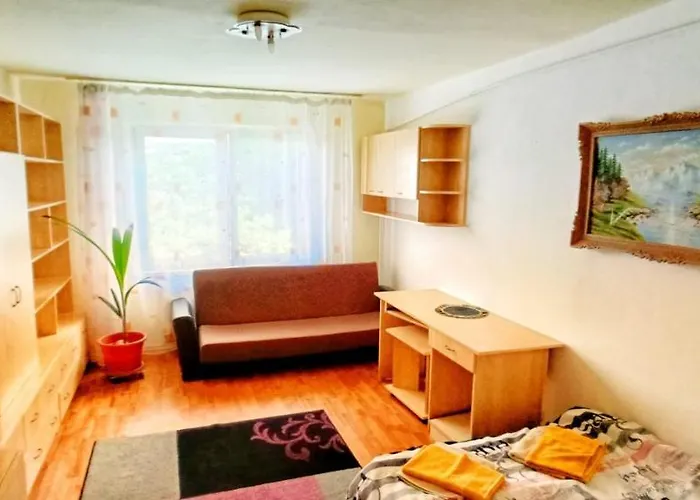 Apartment Niceview